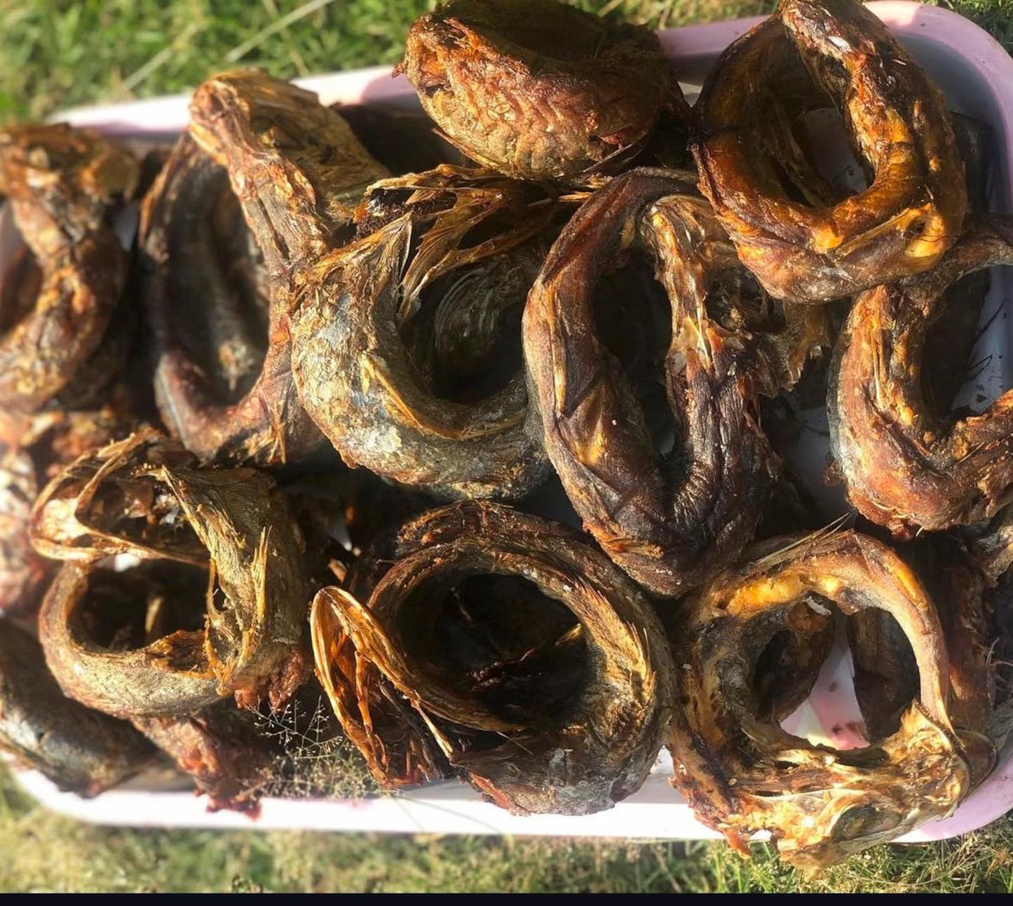 Panla Fish - 10pcs