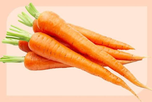 Carrot