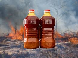 Palm Oil